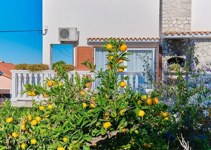 Luce * Mali Lošinj